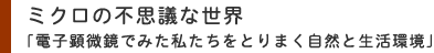 ミクロの不思議な世界 「電子顕微鏡でみた私たちをとりまく自然と生活環境」